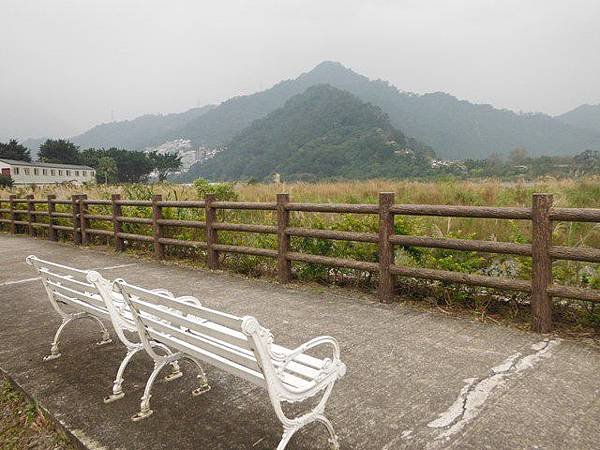 姐姐寶藏巖.花園新城賞櫻.癮水圳道步道.屈尺古道.櫻花街.東聖宮.五十六份登山步道 049