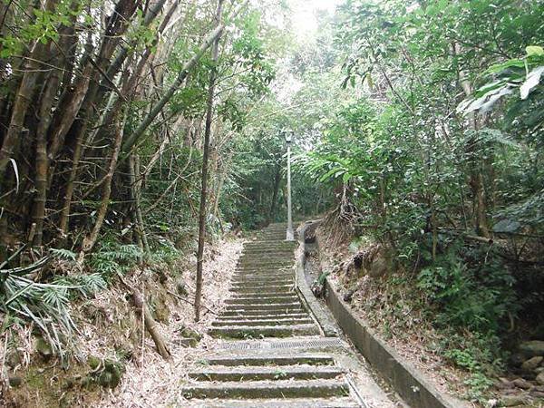 姐姐寶藏巖.花園新城賞櫻.癮水圳道步道.屈尺古道.櫻花街.東聖宮.五十六份登山步道 053