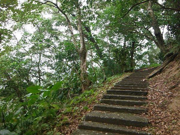 姐姐寶藏巖.花園新城賞櫻.癮水圳道步道.屈尺古道.櫻花街.東聖宮.五十六份登山步道 055