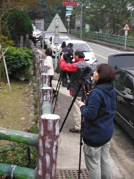 姐姐寶藏巖.花園新城賞櫻.癮水圳道步道.屈尺古道.櫻花街.東聖宮.五十六份登山步道 069