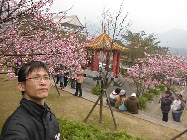 姐姐寶藏巖.花園新城賞櫻.癮水圳道步道.屈尺古道.櫻花街.東聖宮.五十六份登山步道 078