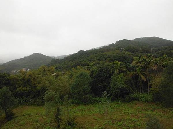 中國麗緻飯店賞櫻.金包里公學校三界壇分校御大禮記念樹.金山中山公園賞櫻.三重橋鑛務課194基石 027