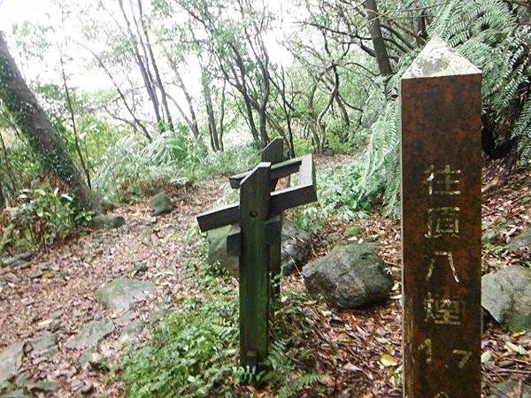 中國麗緻飯店賞櫻.金包里公學校三界壇分校御大禮記念樹.金山中山公園賞櫻.三重橋鑛務課194基石 114