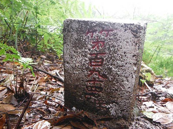 中國麗緻飯店賞櫻.金包里公學校三界壇分校御大禮記念樹.金山中山公園賞櫻.三重橋鑛務課194基石 133