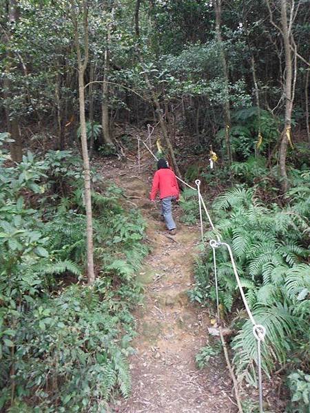如意湖.金明山.柯子林山 003
