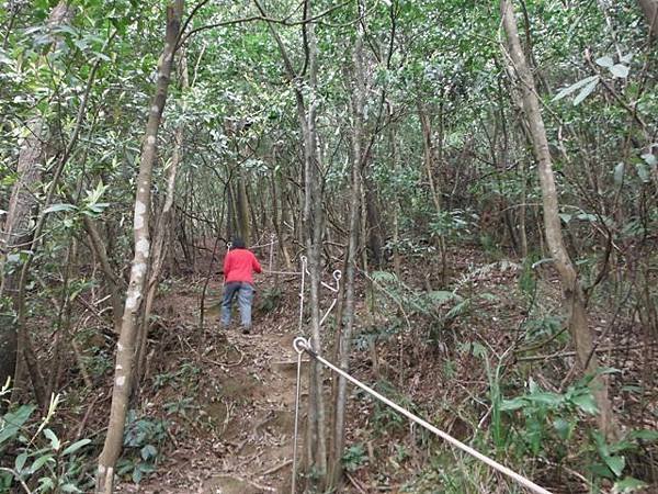 如意湖.金明山.柯子林山 004