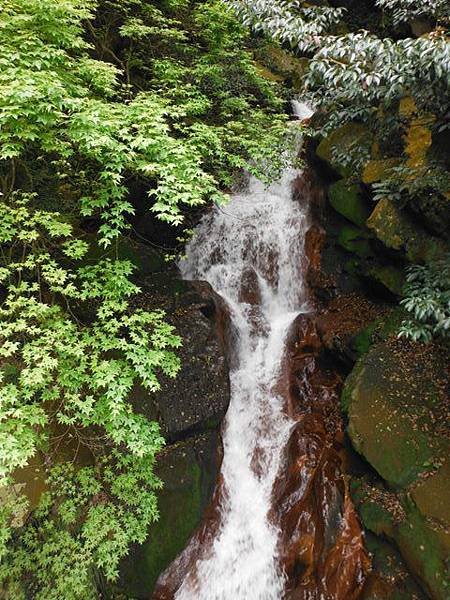 三角埔發電所.水管路步道.第三淨水廠.陽明湧泉 119