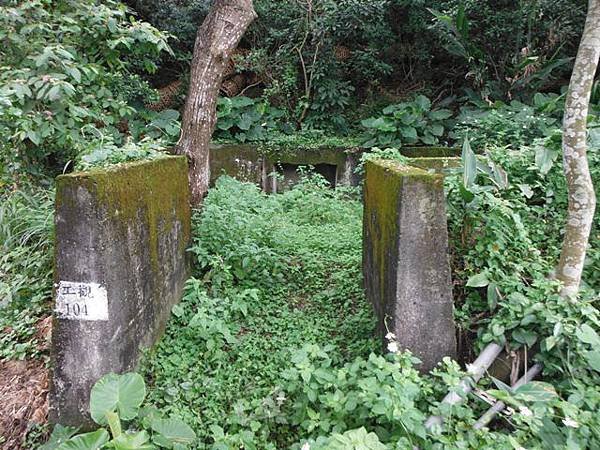 林子山.狗殷勤步道 044