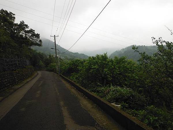 林子山.狗殷勤步道 052