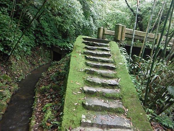 林子山.狗殷勤步道 072