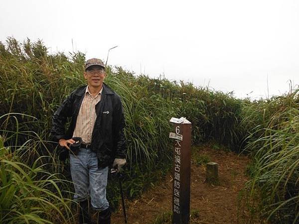 台大醫院.克莉蒙汀麵包.小觀音山群峰.菜頭崙 057
