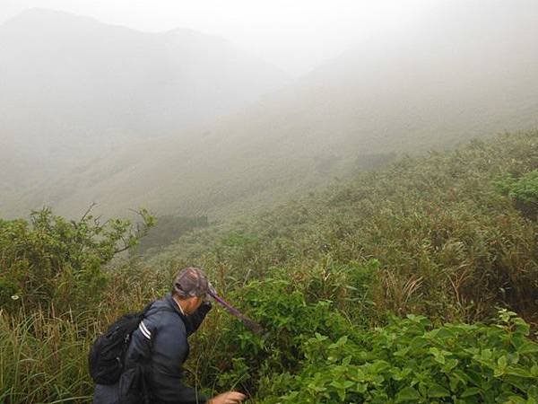 台大醫院.克莉蒙汀麵包.小觀音山群峰.菜頭崙 075