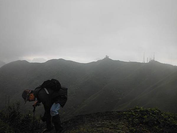 台大醫院.克莉蒙汀麵包.小觀音山群峰.菜頭崙 077