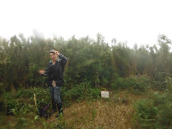 台大醫院.克莉蒙汀麵包.小觀音山群峰.菜頭崙 192