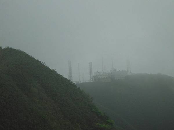 台大醫院.克莉蒙汀麵包.小觀音山群峰.菜頭崙 215