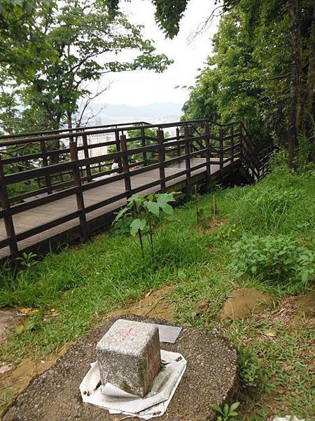 騎單車到景美山賞桐槓龜行 045