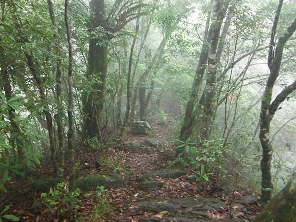 寶藏寺佛祖香燈碑記.內洞林道登大刀山 087