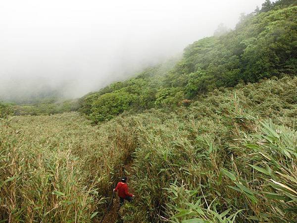 山之家.小觀音山西峰 100