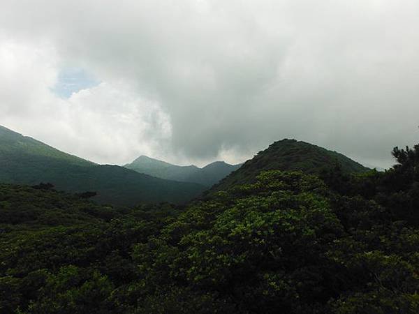 雞心崙.擎天崗.菜公坑山 094