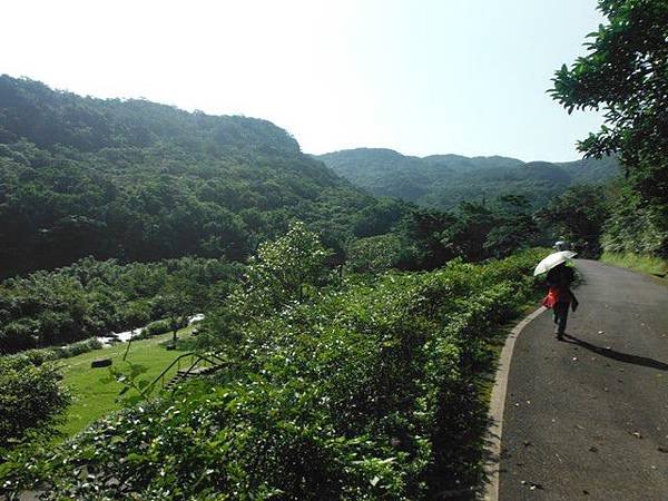 草嶺古道.519基石.鑛務課440基石.桃源谷.草嶺山.灣坑頭山.蕃薯寮山 013