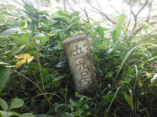 草嶺古道.519基石.鑛務課440基石.桃源谷.草嶺山.灣坑頭山.蕃薯寮山 017