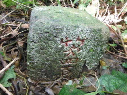 草嶺古道.519基石.鑛務課440基石.桃源谷.草嶺山.灣坑頭山.蕃薯寮山 023