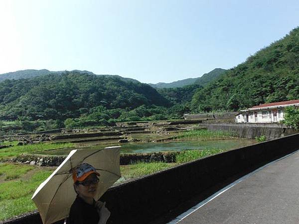 草嶺古道.519基石.鑛務課440基石.桃源谷.草嶺山.灣坑頭山.蕃薯寮山 028