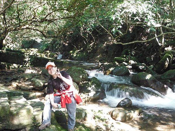 草嶺古道.519基石.鑛務課440基石.桃源谷.草嶺山.灣坑頭山.蕃薯寮山 033