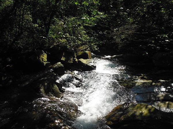 草嶺古道.519基石.鑛務課440基石.桃源谷.草嶺山.灣坑頭山.蕃薯寮山 034