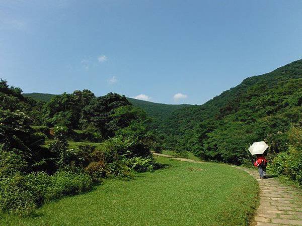 草嶺古道.519基石.鑛務課440基石.桃源谷.草嶺山.灣坑頭山.蕃薯寮山 038