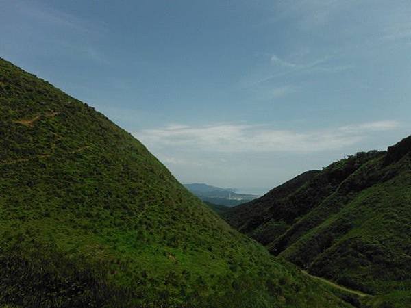 草嶺古道.519基石.鑛務課440基石.桃源谷.草嶺山.灣坑頭山.蕃薯寮山 084