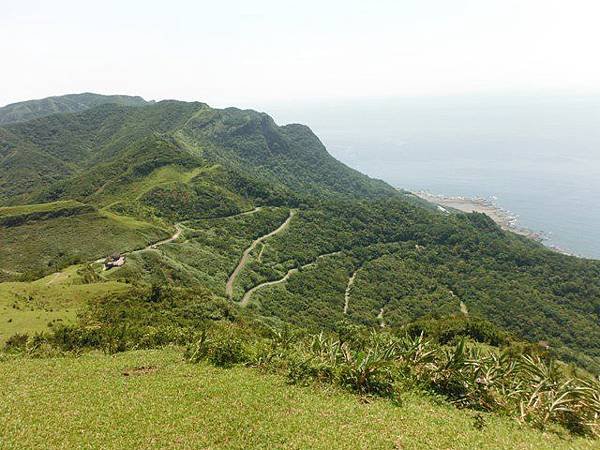 草嶺古道.519基石.鑛務課440基石.桃源谷.草嶺山.灣坑頭山.蕃薯寮山 088