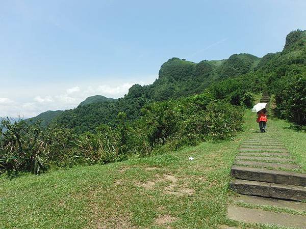 草嶺古道.519基石.鑛務課440基石.桃源谷.草嶺山.灣坑頭山.蕃薯寮山 092