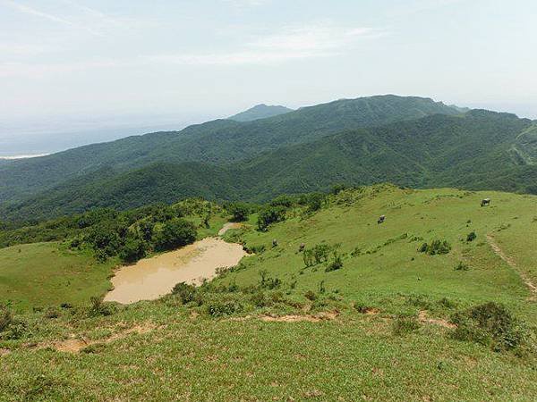 草嶺古道.519基石.鑛務課440基石.桃源谷.草嶺山.灣坑頭山.蕃薯寮山 095