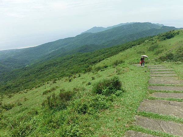 草嶺古道.519基石.鑛務課440基石.桃源谷.草嶺山.灣坑頭山.蕃薯寮山 110