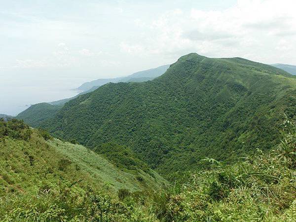 草嶺古道.519基石.鑛務課440基石.桃源谷.草嶺山.灣坑頭山.蕃薯寮山 112