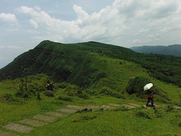 草嶺古道.519基石.鑛務課440基石.桃源谷.草嶺山.灣坑頭山.蕃薯寮山 125