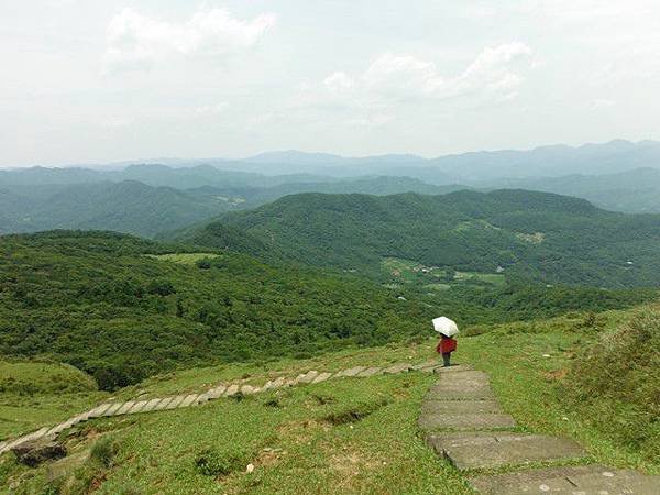 草嶺古道.519基石.鑛務課440基石.桃源谷.草嶺山.灣坑頭山.蕃薯寮山 126