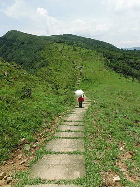 草嶺古道.519基石.鑛務課440基石.桃源谷.草嶺山.灣坑頭山.蕃薯寮山 127