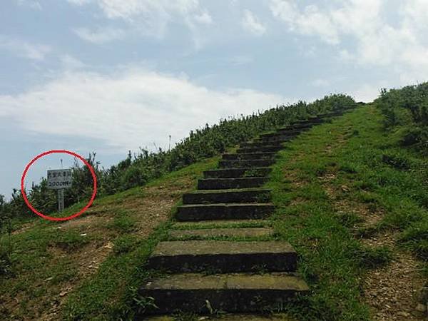 草嶺古道.519基石.鑛務課440基石.桃源谷.草嶺山.灣坑頭山.蕃薯寮山 131