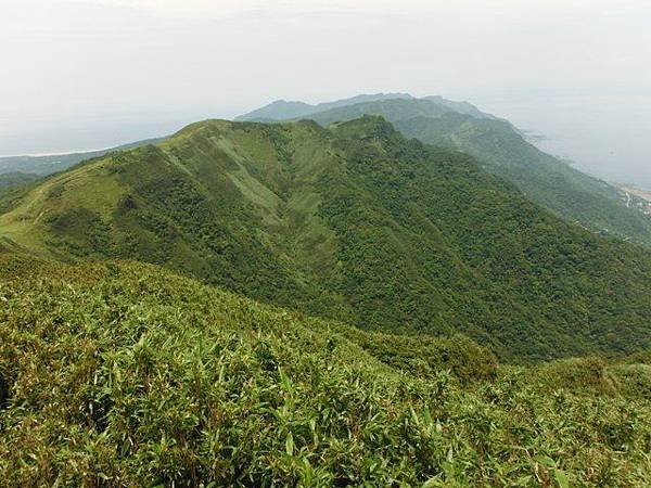 草嶺古道.519基石.鑛務課440基石.桃源谷.草嶺山.灣坑頭山.蕃薯寮山 140