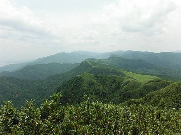 草嶺古道.519基石.鑛務課440基石.桃源谷.草嶺山.灣坑頭山.蕃薯寮山 146