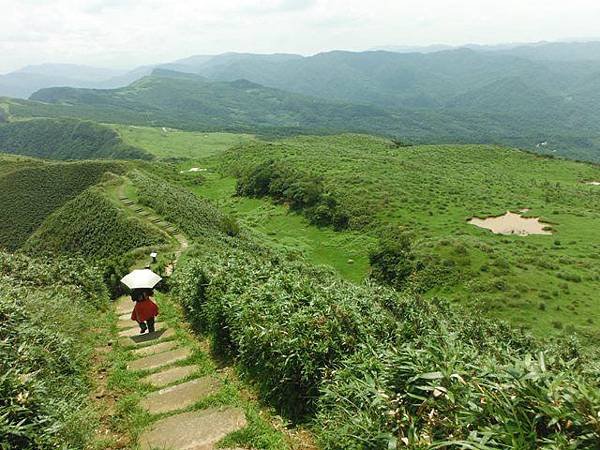 草嶺古道.519基石.鑛務課440基石.桃源谷.草嶺山.灣坑頭山.蕃薯寮山 150