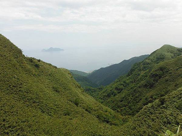 草嶺古道.519基石.鑛務課440基石.桃源谷.草嶺山.灣坑頭山.蕃薯寮山 151