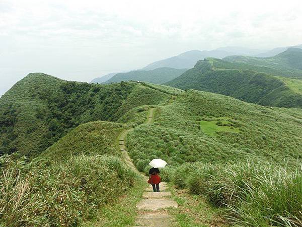 草嶺古道.519基石.鑛務課440基石.桃源谷.草嶺山.灣坑頭山.蕃薯寮山 153