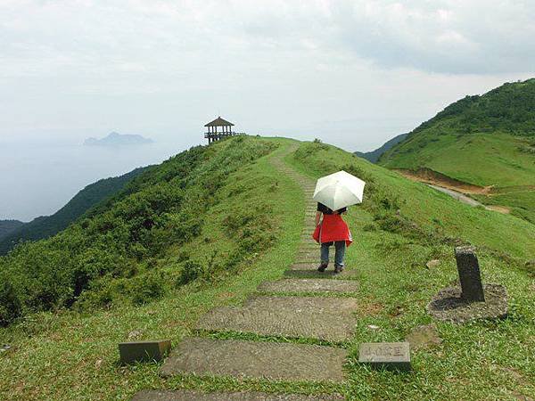 草嶺古道.519基石.鑛務課440基石.桃源谷.草嶺山.灣坑頭山.蕃薯寮山 166