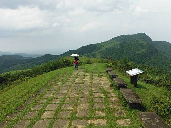 草嶺古道.519基石.鑛務課440基石.桃源谷.草嶺山.灣坑頭山.蕃薯寮山 172