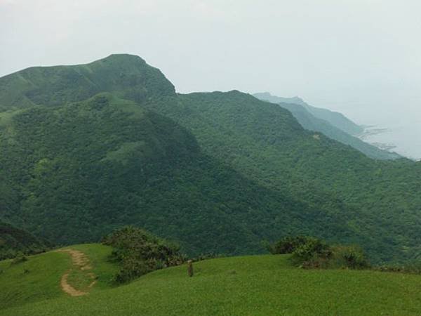 草嶺古道.519基石.鑛務課440基石.桃源谷.草嶺山.灣坑頭山.蕃薯寮山 181