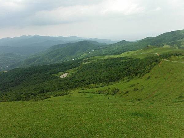 草嶺古道.519基石.鑛務課440基石.桃源谷.草嶺山.灣坑頭山.蕃薯寮山 188