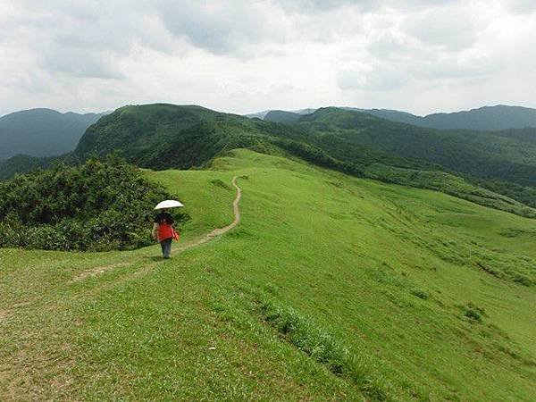 草嶺古道.519基石.鑛務課440基石.桃源谷.草嶺山.灣坑頭山.蕃薯寮山 193